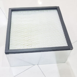Hepa Filter - BrushBeast