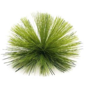 Stiff Brush - 12"