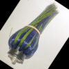 Rotobrush BrushBeast Machine BB Package 2 - Image 6